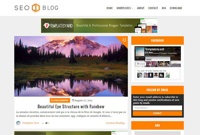 Seo Blog blogger template 