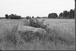 IMGP1886