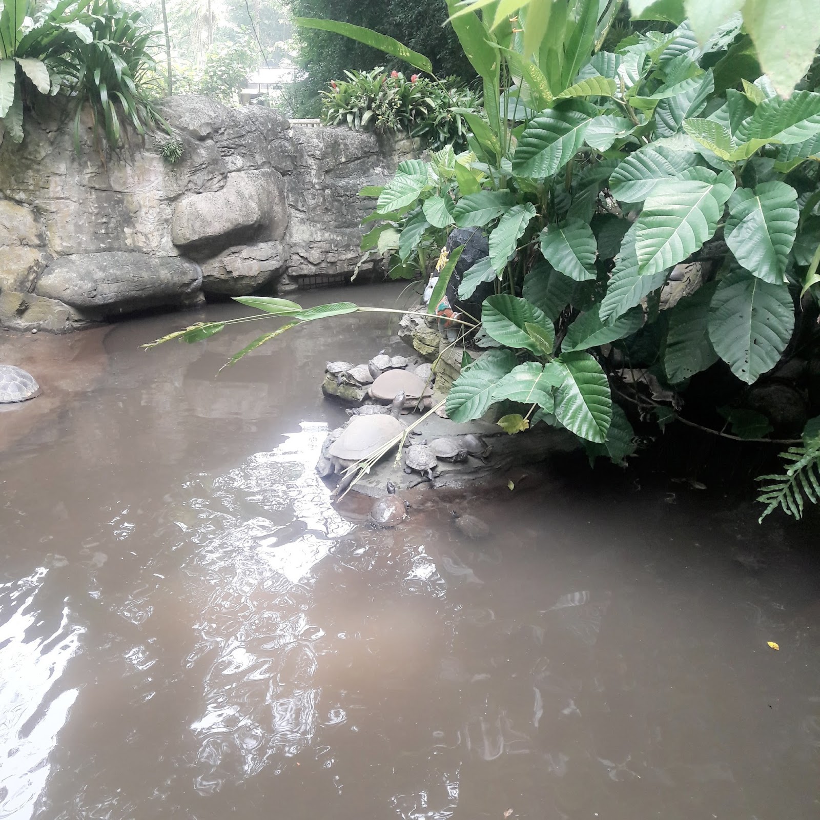 Lost World Of Tambun : Petting Zoo  Ini Cerita PUAN KUTU