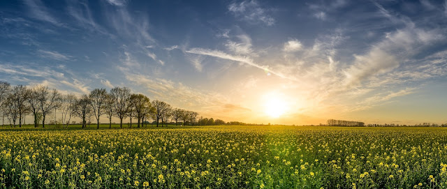 Farmers Replaces The Pesticides With Insects To Protect Crops In Spain's Sea Of Plastic