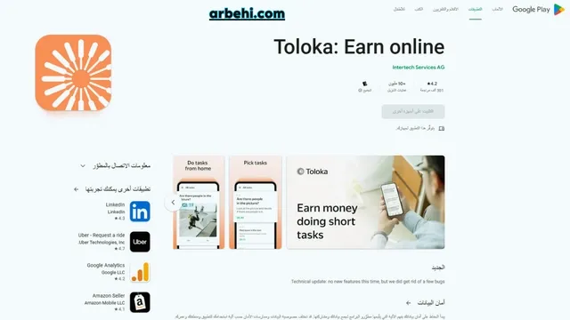 Toloka Earn Online Guide: How to Make Money Online