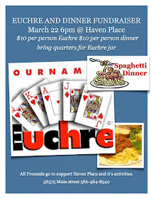 Euchre Tournament MI