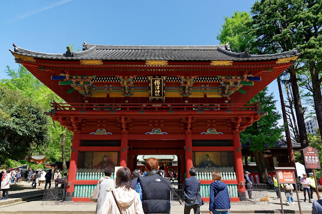江戸時代の楼門が残っている東京の社殿等は根津神社だけだそうだ。