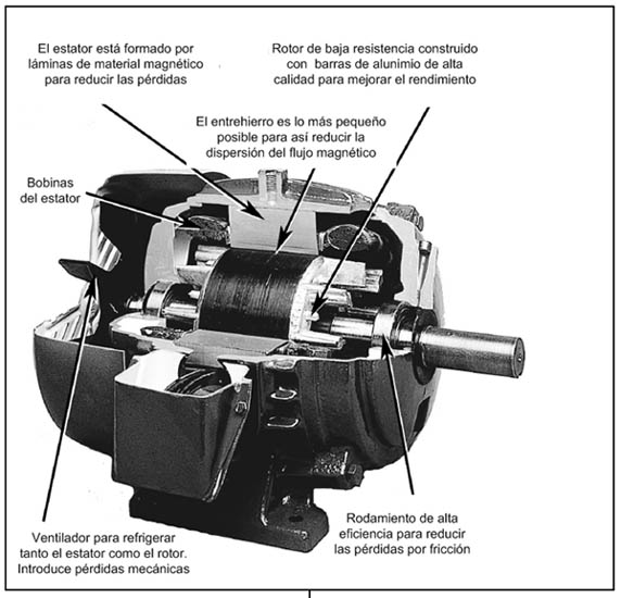 Como diagnosticar un motor trifasico