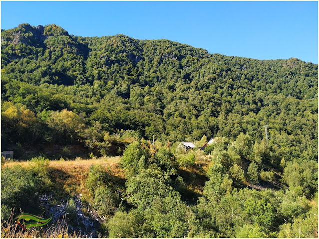 Bosque de Hermu (Hayedo del Monasterio de Hermo). ¡El mayor hayedo de Asturias!