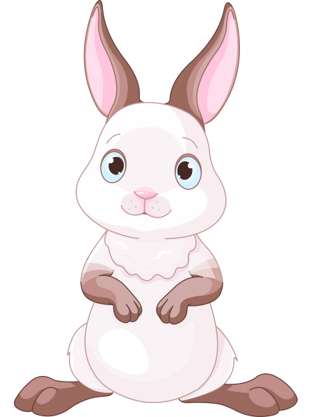 Adorable Rabbit