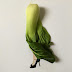 Haute Couture Clothes Illustrated With Vegetables By Martha Haversham