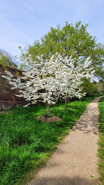 Heritage Orchard