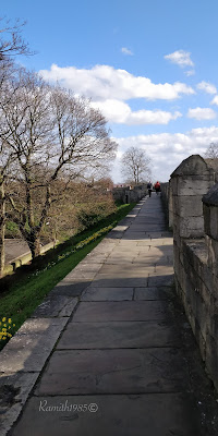 York wall