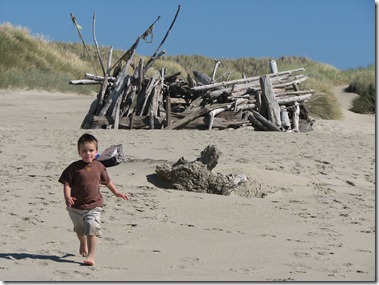 2010-08-26 HecetaBeach 028 (2)