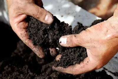 Black cotton soil