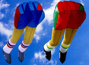 parafoil kites