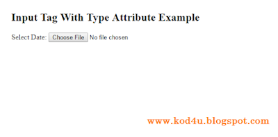 HTML Input Tag With File Example