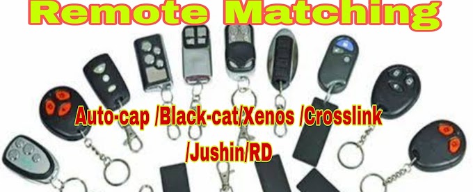 Auto-cop /Black-cat/Xenos/Other Remote Matching Procedure 