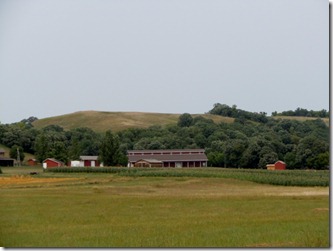 DSCN6761