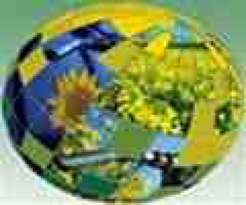 Biofuel Energy Content Boosted To Crude Oil Level