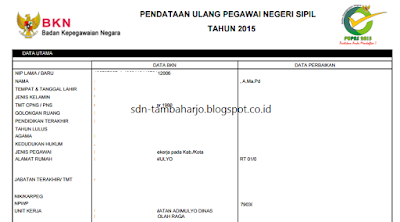 Solusi Gagal Kirim Verifikator Level 1 di PUPNS 2015