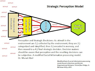 Strategic+Perception+Model.jpg