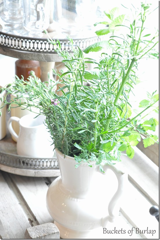 Herb bouquet
