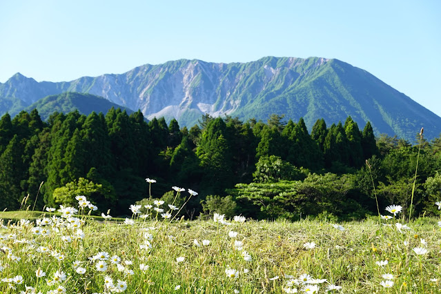 鳥取県道314号赤松大山線　種原付近からの眺望