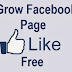 How to increase Facebook likes