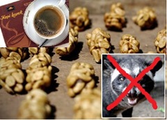 Kopi Luwak - Civet Coffe - tanpa Luwak