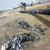 Death cancer may hit Niger Delta - Scientists