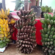 Saktinya Manfaat Buah Pisang