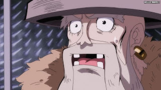 ワンピースアニメ | ONE PIECE 3D2Y ビョージャック