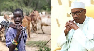 Fulani herdsmen’s 'madness' gone too far —Buhari 