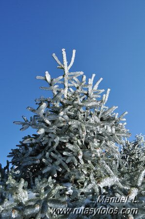 Subida al Torrecilla (II)