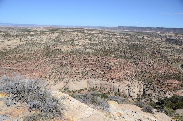 Newspaper Rock below