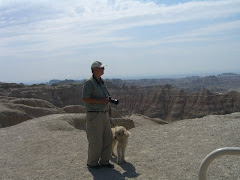On a Butte on the Loop Drive