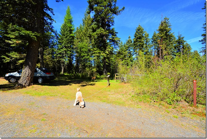 Emigrant Springs Horse Camp G