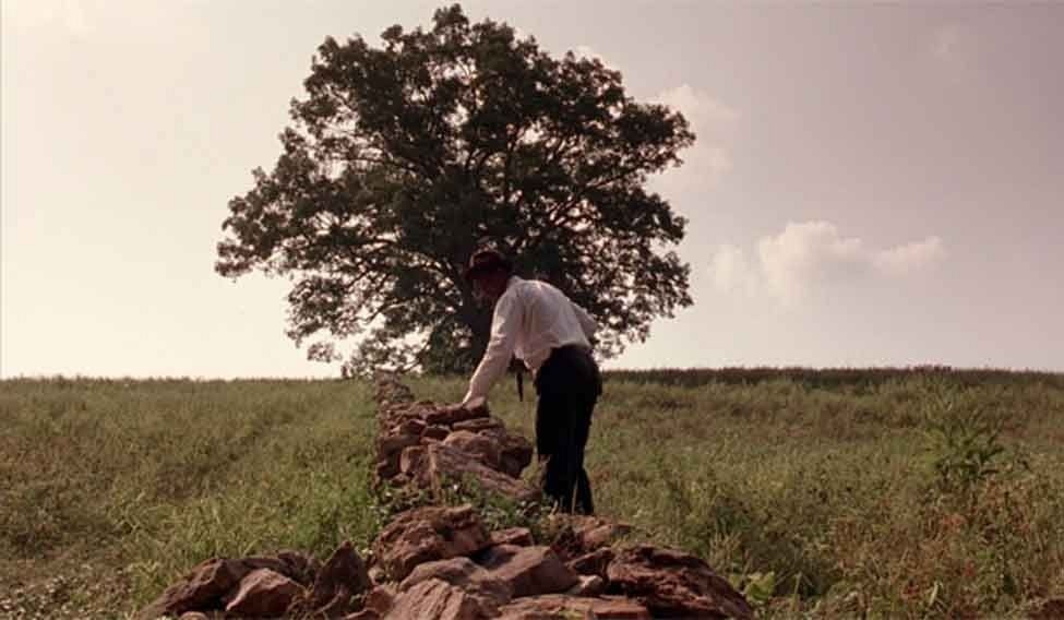 shawshank-tree-1