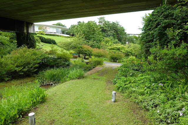 鳥取県西伯郡南部町鶴田　とっとり花回廊　花の谷