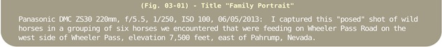 Image Title Bar 23 Family Portrait