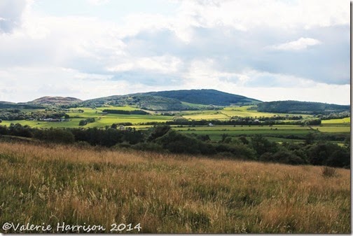 3 Boreland-of-Southwick-2