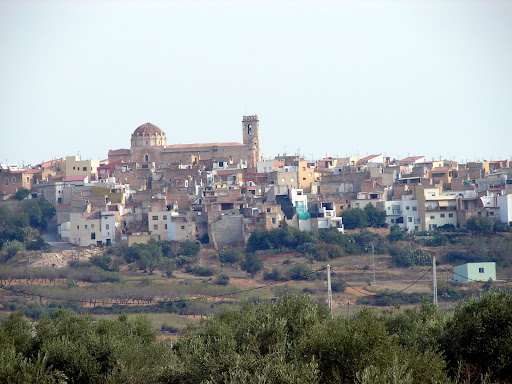 Senderismo: SL-CV 58 Canet lo Roig Olivos Milenarios