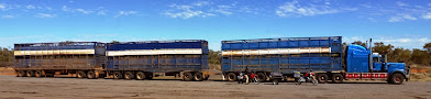 BMW R1200GS, BMW F650GS with triple road train