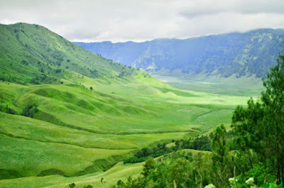 8 Savanna in East Java for vacation, beautiful and exotic. Mount Bromo Savanna