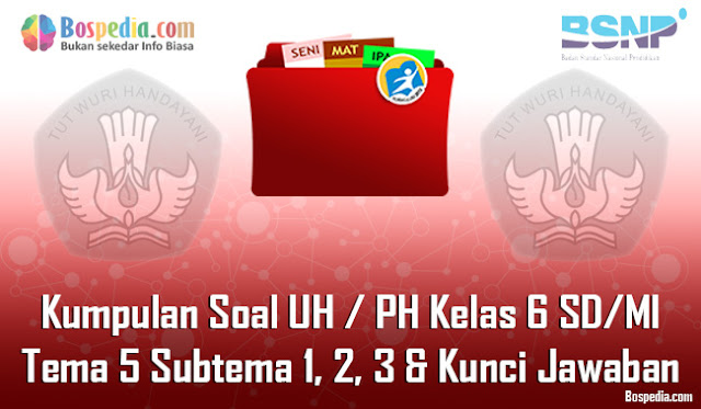 Kumpulan Soal UH / PH Kelas 6 SD/MI Tema 5 Subtema 1, 2, 3 dan Kunci Jawaban