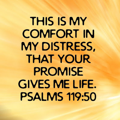 Awesome Bible Verse Of Promises Psalms 119:50