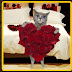Gato con un mensaje muy bonito en corazón