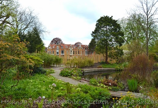 Glória Ishizaka - Hortus Botanicus Leiden - 11