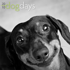 Dog Days 2010 calendar