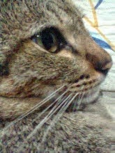 My photo