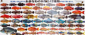 Fish identification poster, English, Japanese