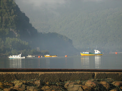 Paisaje Chileno