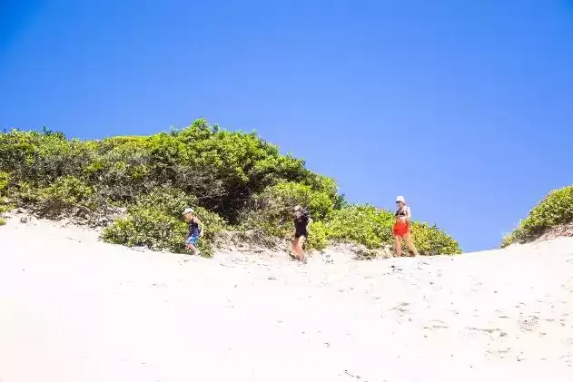 CAT da Ilha mantém plantão de atendimento ao público neste final de semana e feriado